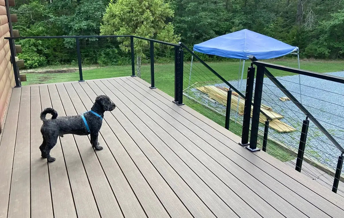 Is Cable Railing Safe for Kids & Dogs? A Complete Safety Guide