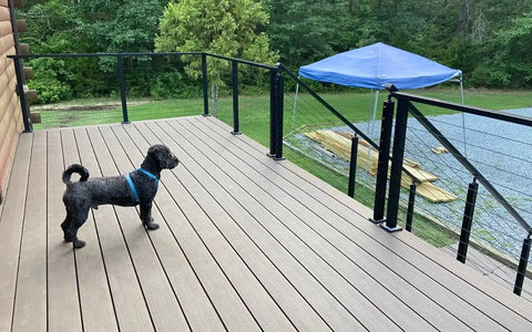 Is Cable Railing Safe for Kids & Dogs? A Complete Safety Guide