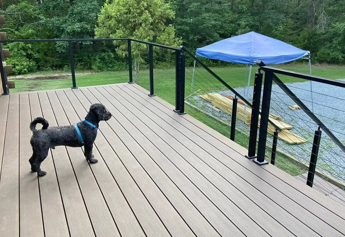 Is Cable Railing Safe for Kids & Dogs? A Complete Safety Guide